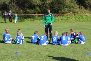 九游娱乐官方-中国篮球教练员战术创新能力培养及培训机制探讨，篮球教练员素养